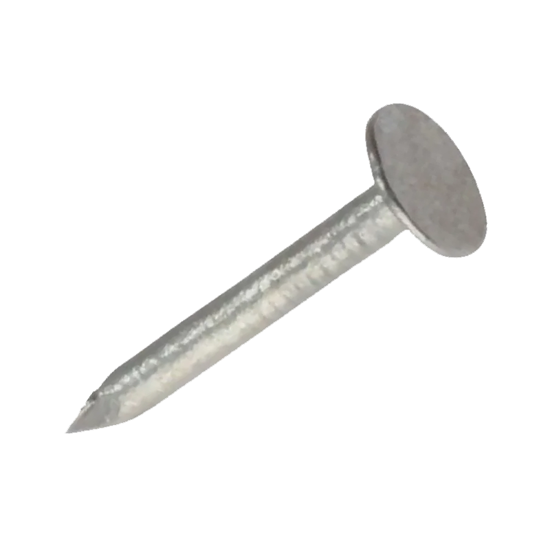 20mm Galvanised Clout Nails